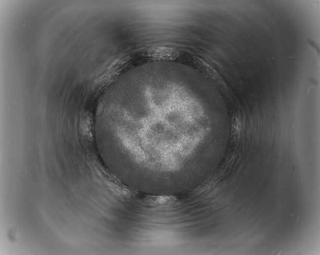 X0000102220663200808221247