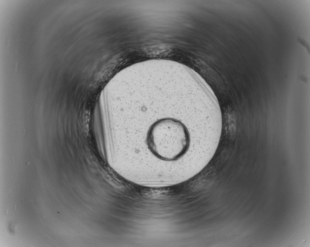 X0000102220664200808221247