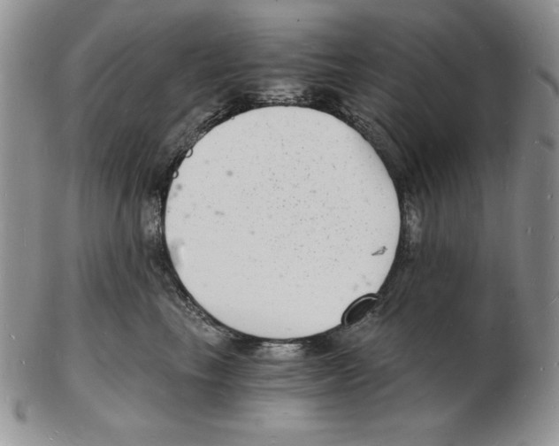 X0000102220665200808221247