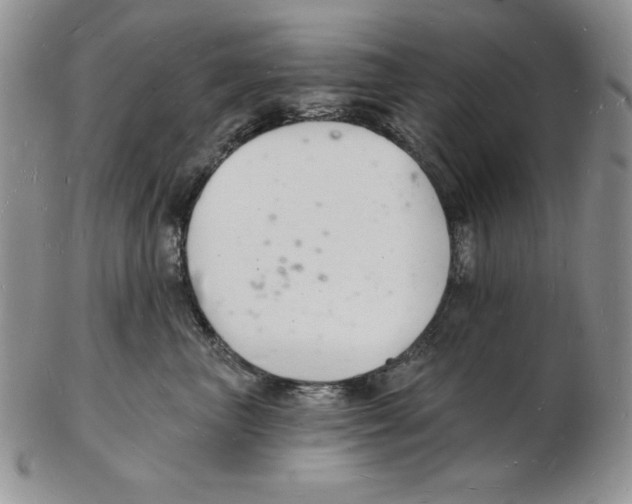 X0000102220667200808221247