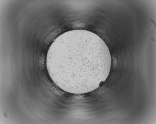 X0000102220668200808221247