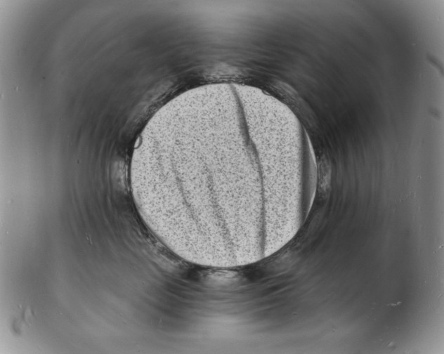 X0000102220669200808221247