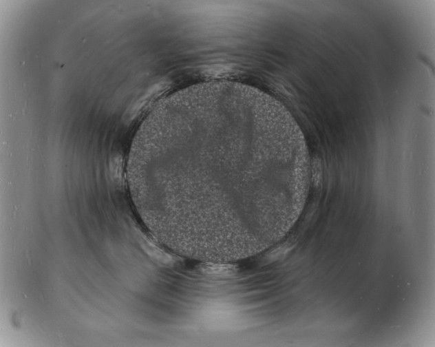 X0000102220670200808221247