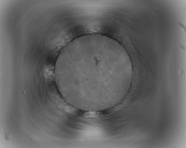 X0000102220672200808221247