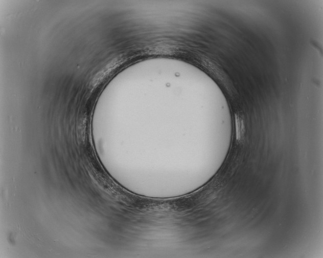 X0000102220675200808221246