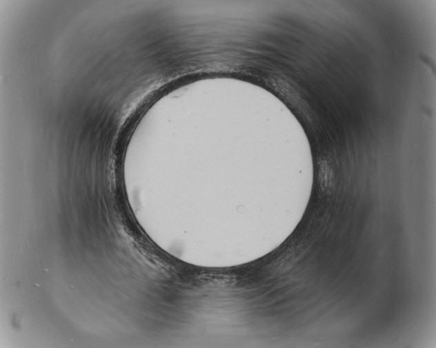 X0000102220676200808221246