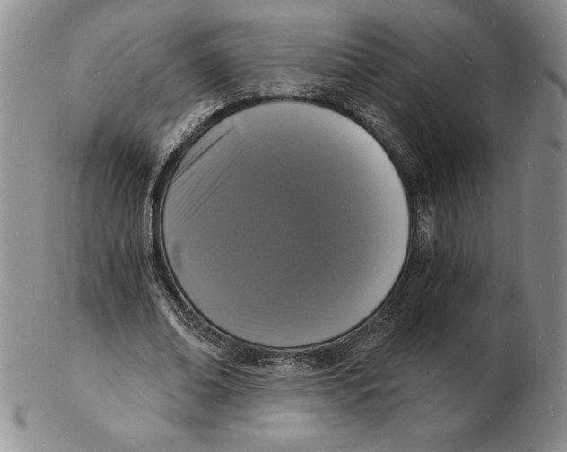 X0000102220678200808221246