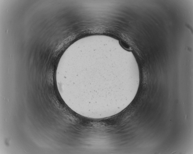 X0000102220681200808221246