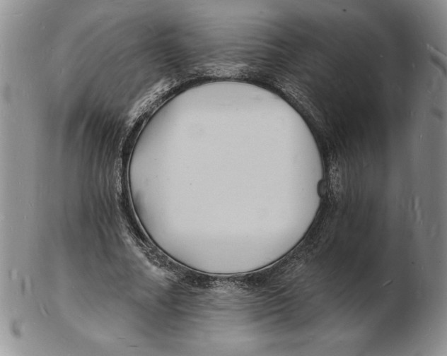 X0000102220682200808221246