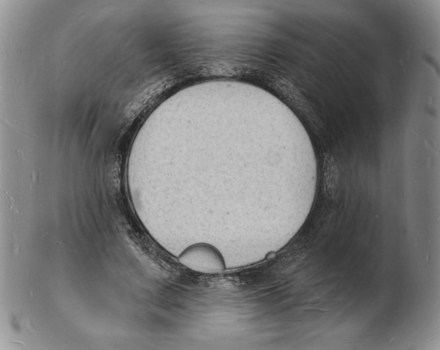 X0000102220683200808221246