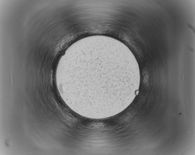 X0000102220685200808221246