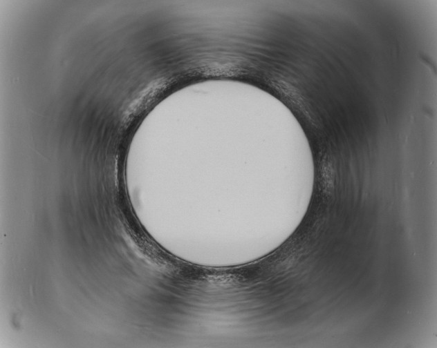 X0000102220686200808221246