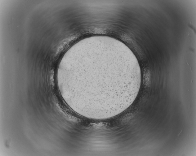 X0000102220688200808221246