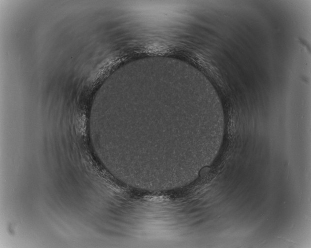 X0000102220689200808221246