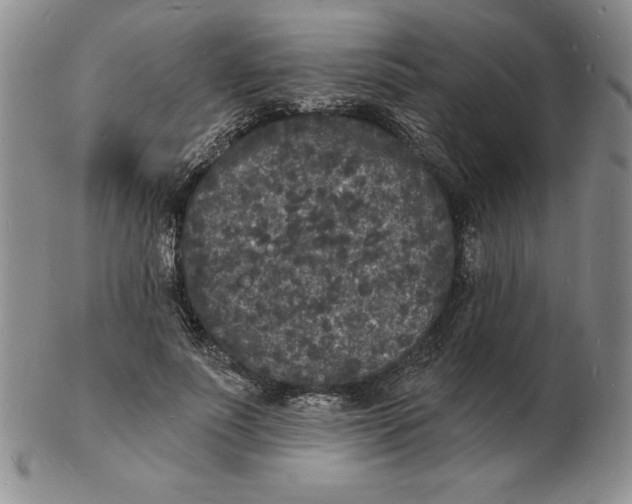 X0000102220691200808221246