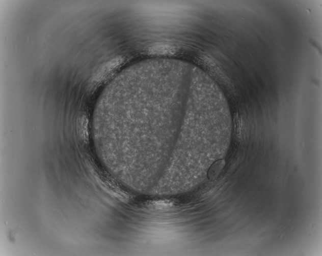 X0000102220692200808221246