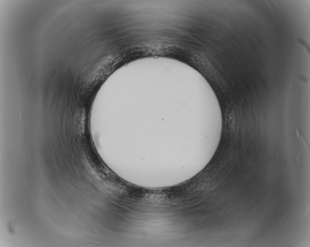 X0000102220694200808221246