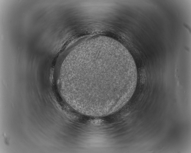 X0000102220695200808221246