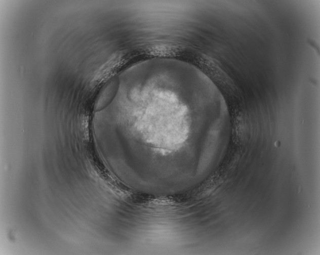 X0000102220696200808221246