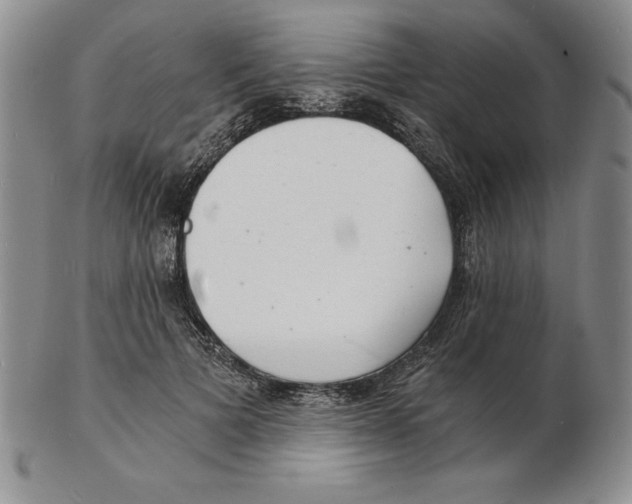 X0000102220697200808221246