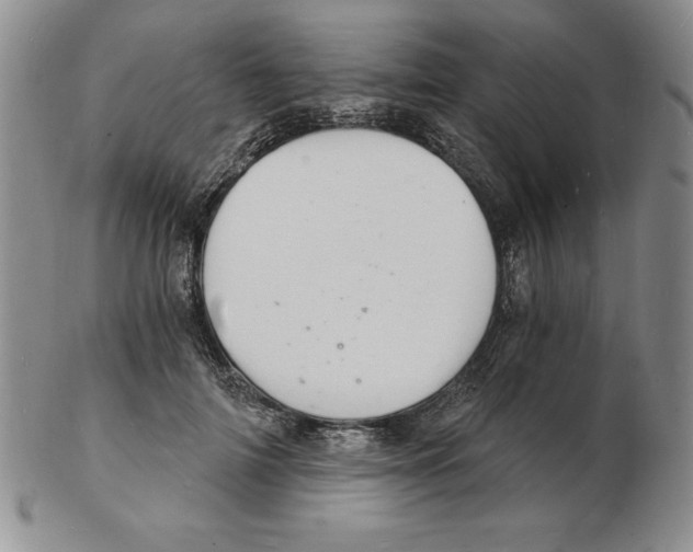 X0000102220698200808221246