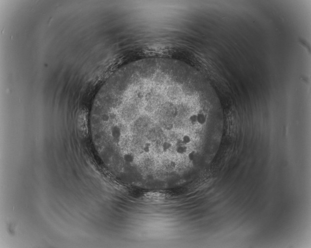 X0000102220699200808221246