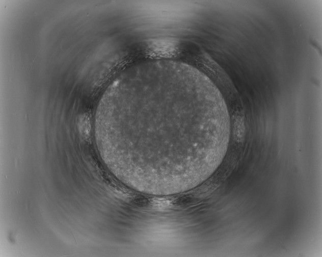 X0000102220701200808221246