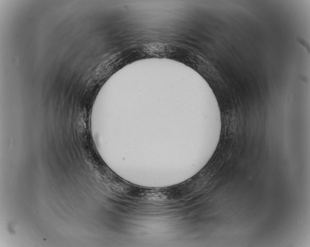 X0000102220702200808221246