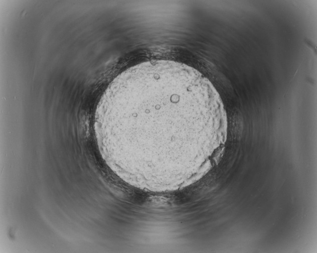 X0000102220703200808221246