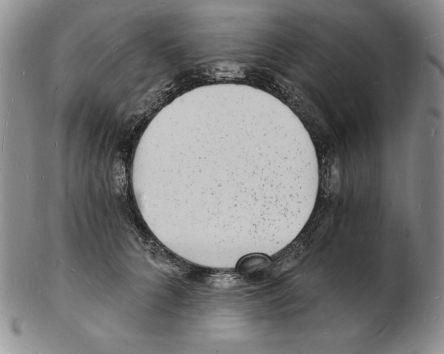 X0000102220704200808221246