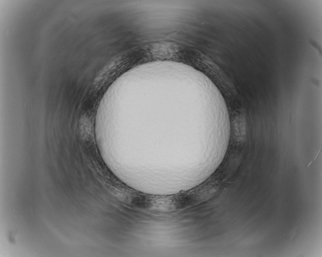 X0000102220705200808221246