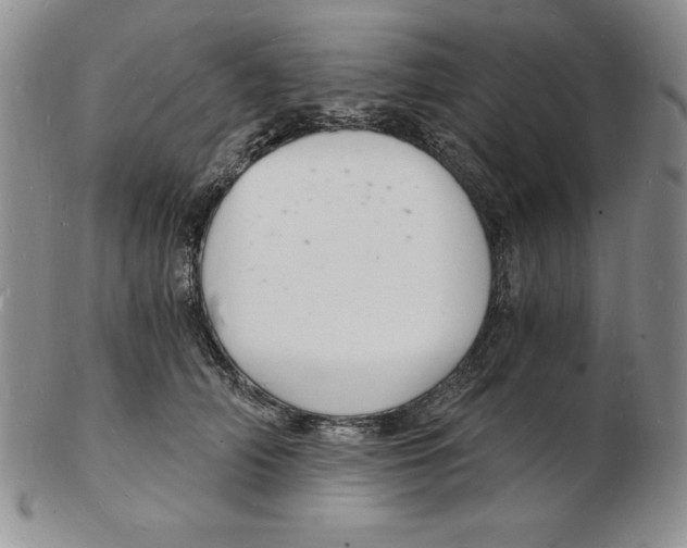 X0000102220706200808221246