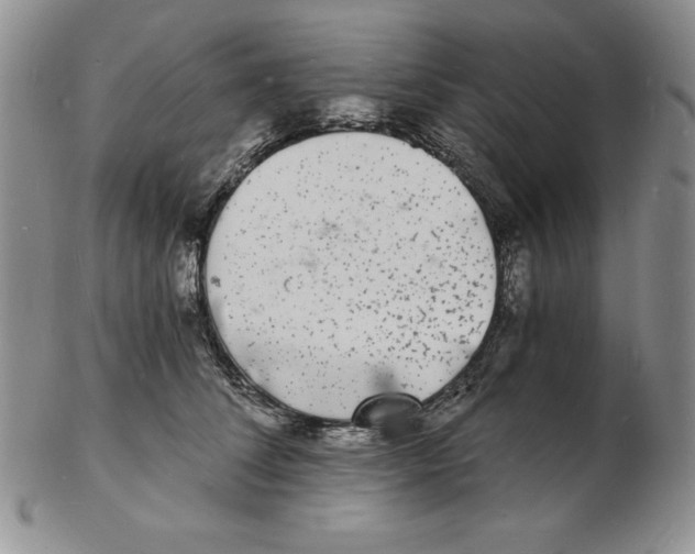 X0000102220708200808221246