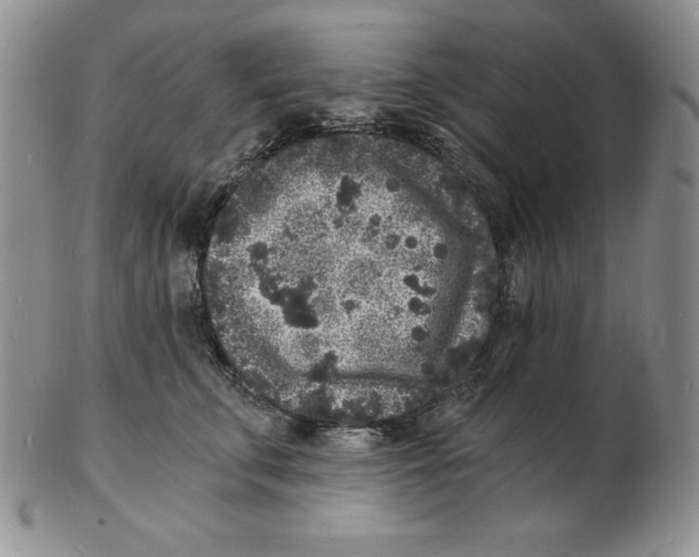 X0000102220711200808221246