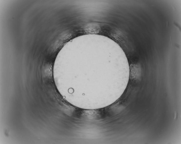 X0000102220713200808221246