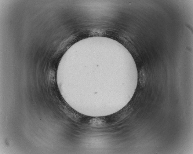 X0000102220714200808221246