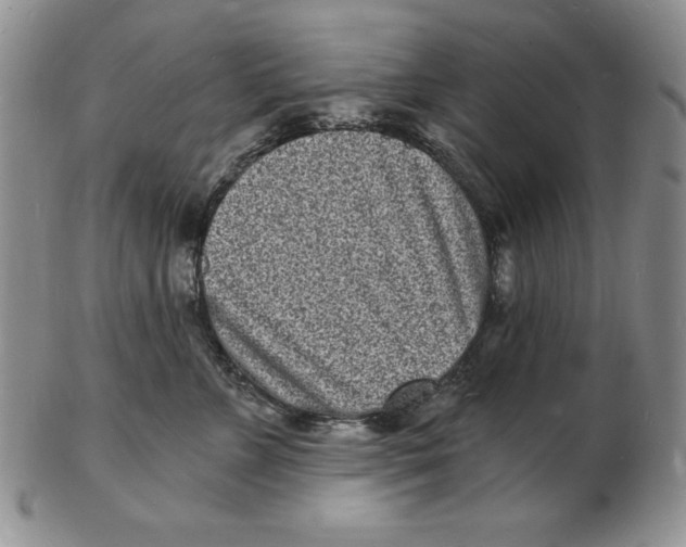 X0000102220715200808221246