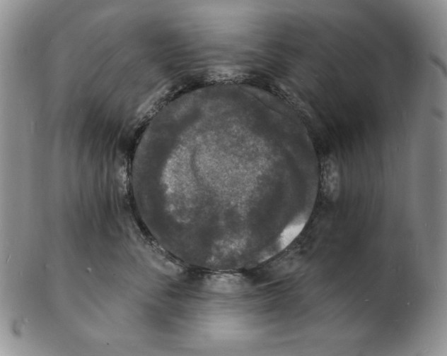 X0000102220716200808221246