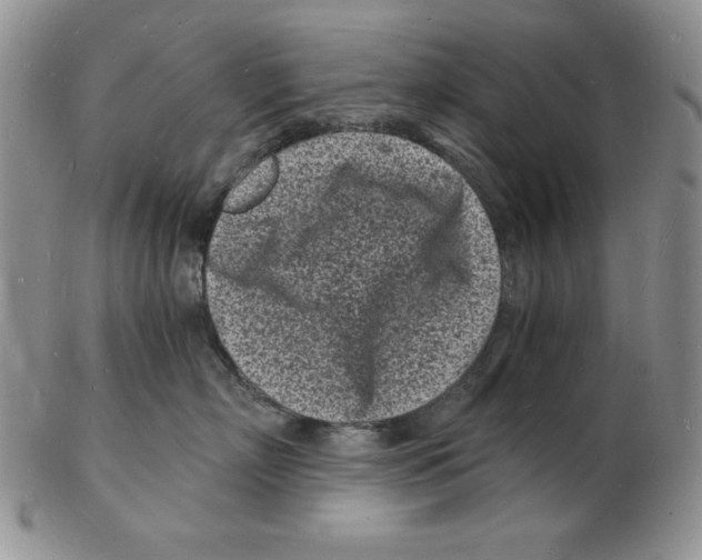 X0000102220718200808221246