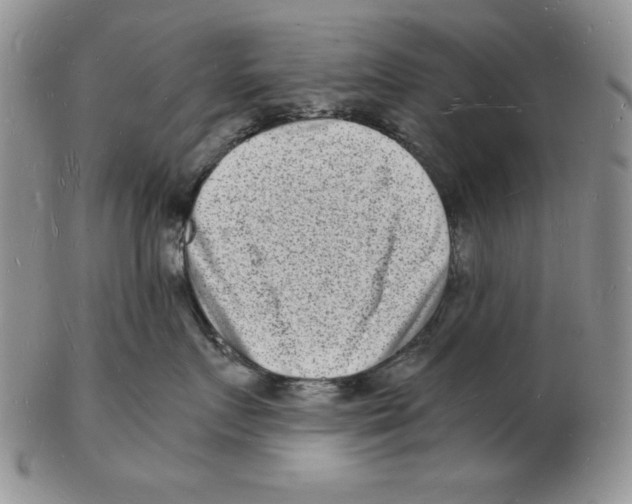 X0000102220719200808221246