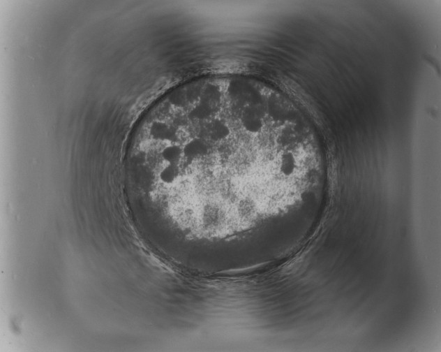 X0000102220721200808221245