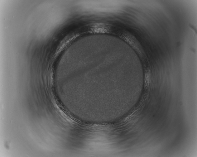 X0000102220722200808221245