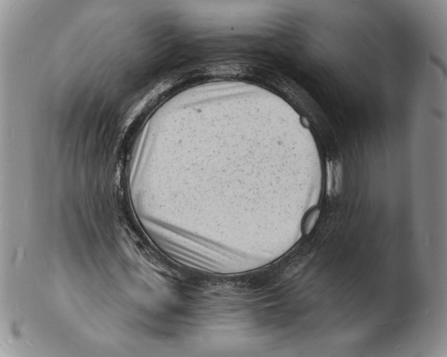 X0000102220723200808221245