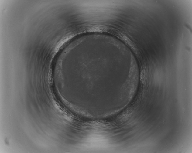 X0000102220724200808221245