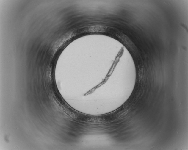 X0000102220727200808221245