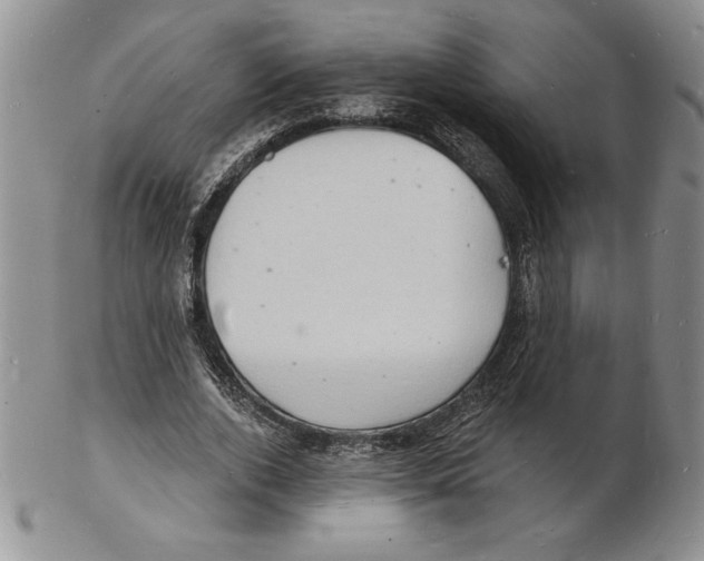 X0000102220728200808221245