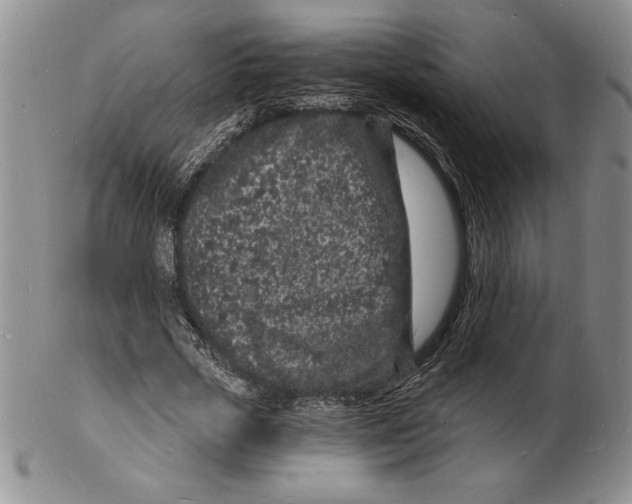 X0000102220729200808221245