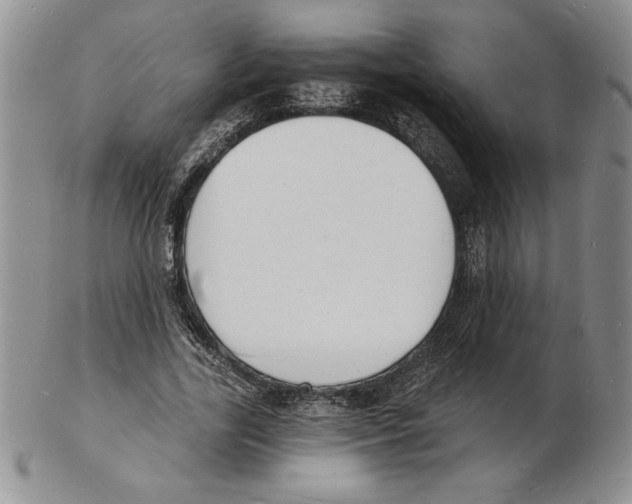 X0000102220731200808221245