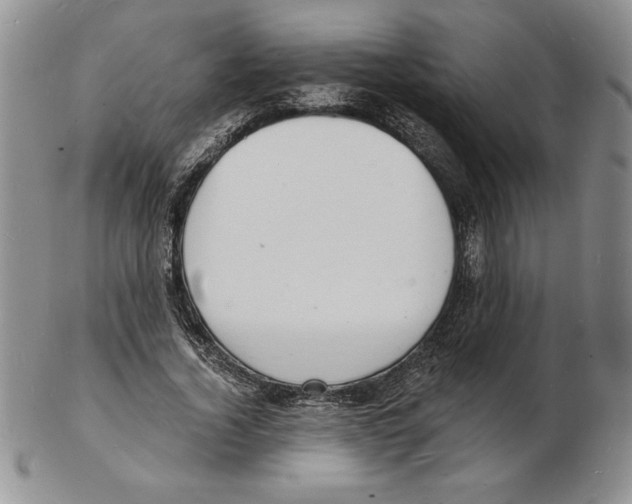 X0000102220732200808221245