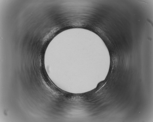 X0000102220734200808221245